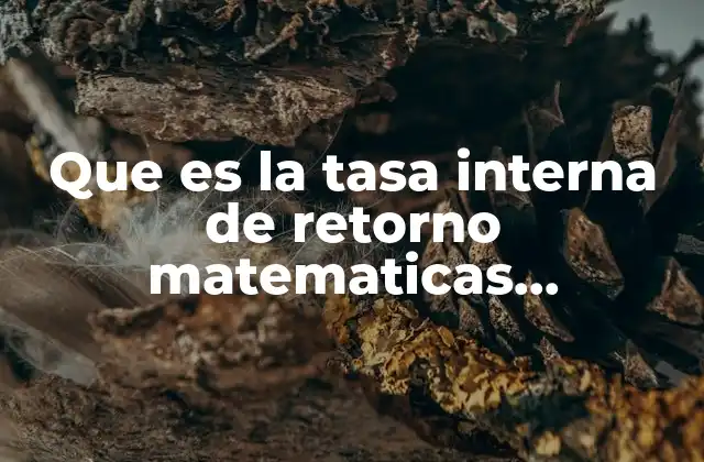 Que es la Tasa Interna de Retorno Matematicas Financieras