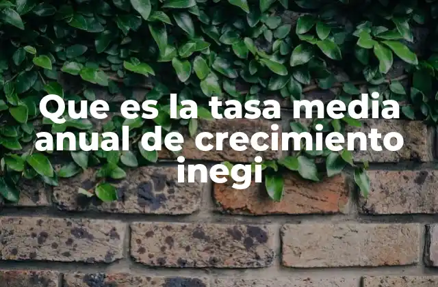 Que es la Tasa Media Anual de Crecimiento Inegi