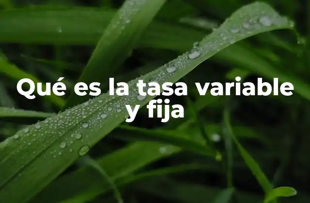 Qué es la Tasa Variable y Fija