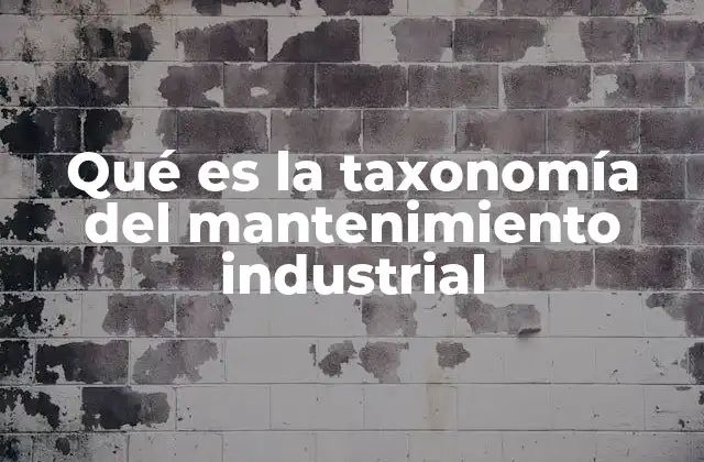 Qué es la Taxonomía Del Mantenimiento Industrial