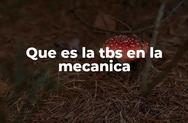 Que es la Tbs en la Mecanica