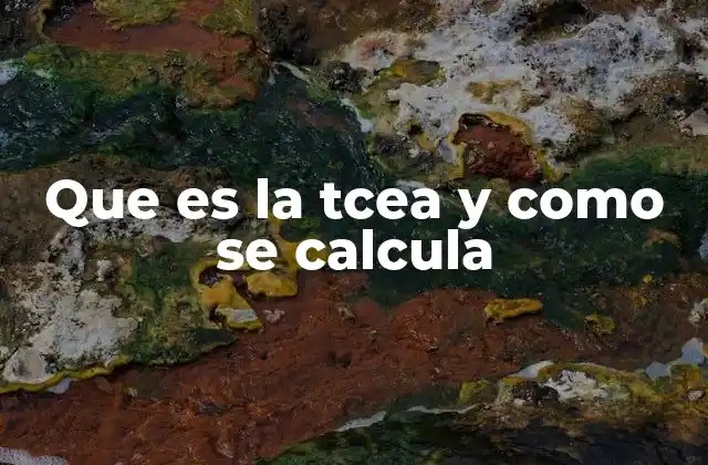 Que es la Tcea y como Se Calcula