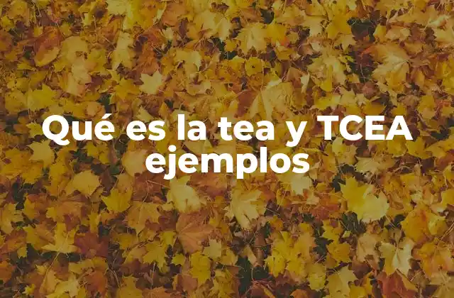 Qué es la Tea y Tcea Ejemplos