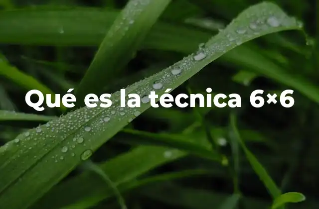 Qué es la Técnica 6×6