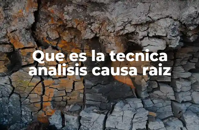 Que es la Tecnica Analisis Causa Raiz
