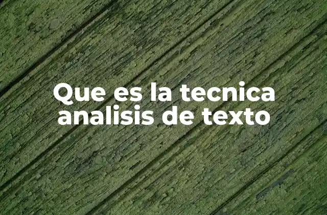 Que es la Tecnica Analisis de Texto