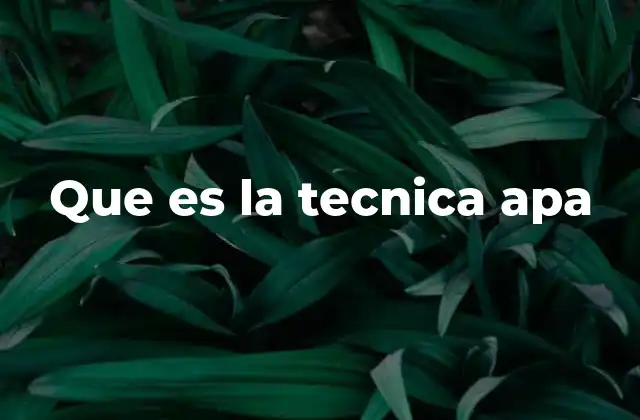 Que es la Tecnica Apa