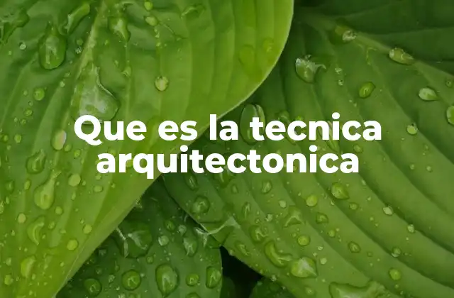 Que es la Tecnica Arquitectonica