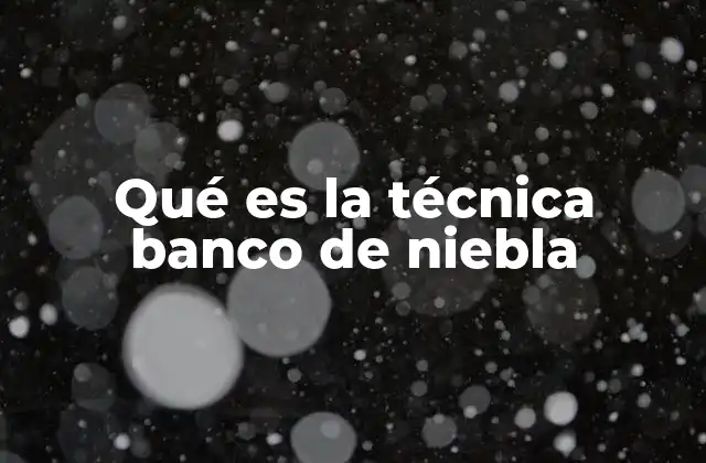 Qué es la Técnica Banco de Niebla