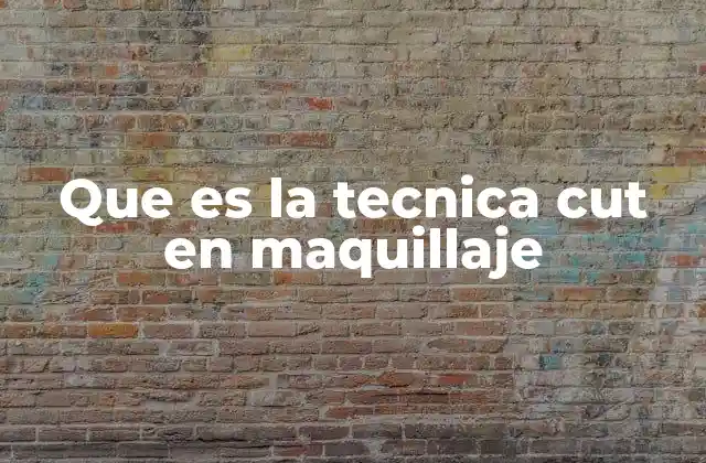 Que es la Tecnica Cut en Maquillaje
