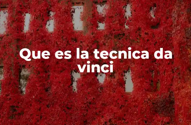 Que es la Tecnica Da Vinci