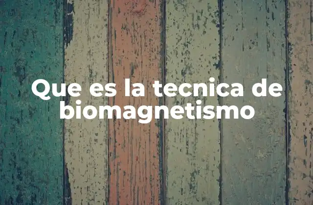 Que es la Tecnica de Biomagnetismo