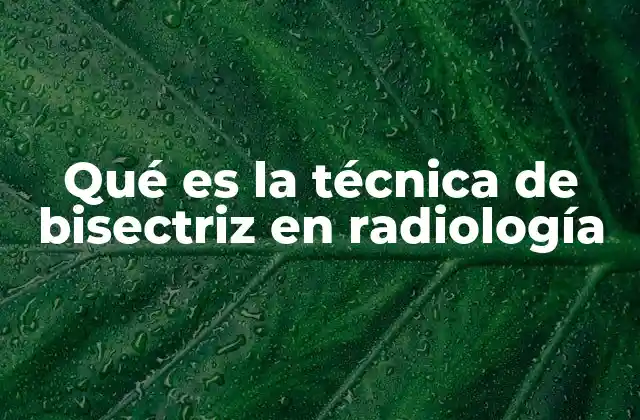 Aplicaciones de la bisectriz en radiología intervencionista