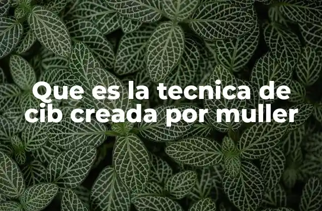 El origen de una metodología innovadora