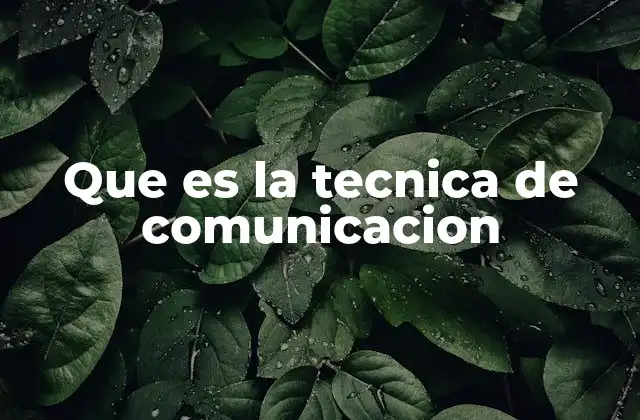 Que es la Tecnica de Comunicacion 2 Cómo se aplica en la vida cotidiana