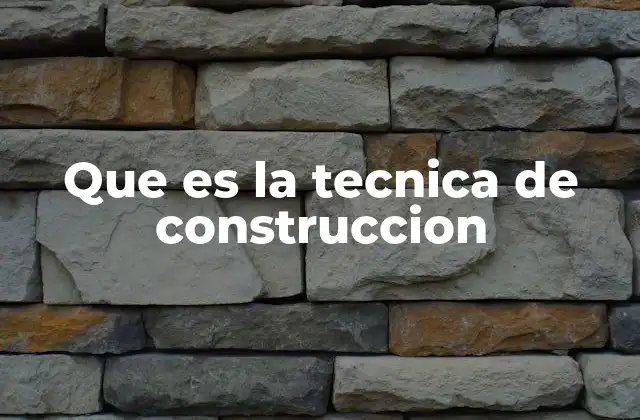 Que es la Tecnica de Construccion