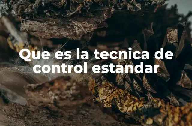 Que es la Tecnica de Control Estandar