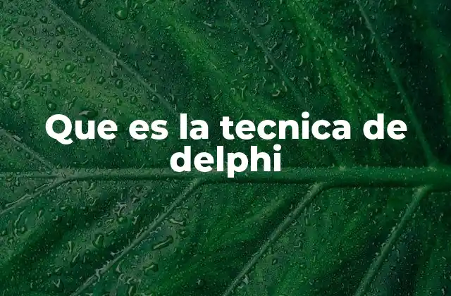 Que es la Tecnica de Delphi