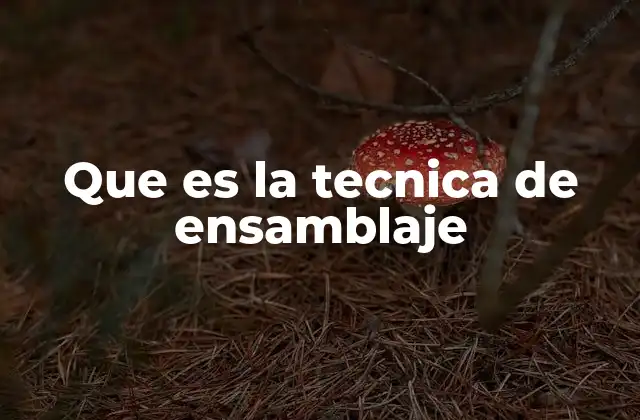 Que es la Tecnica de Ensamblaje