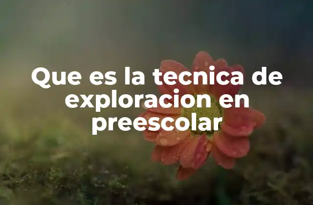 Que es la Tecnica de Exploracion en Preescolar