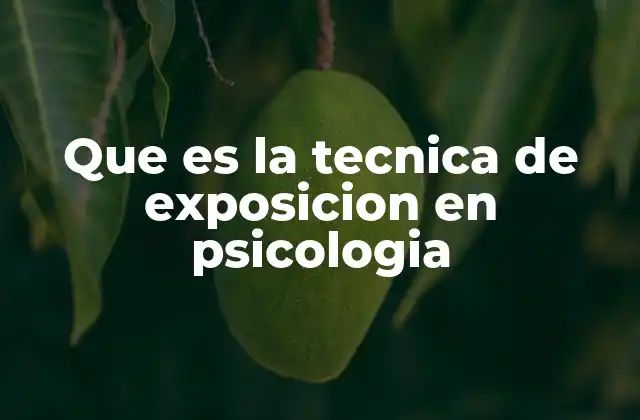 Que es la Tecnica de Exposicion en Psicologia