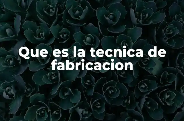 Que es la Tecnica de Fabricacion