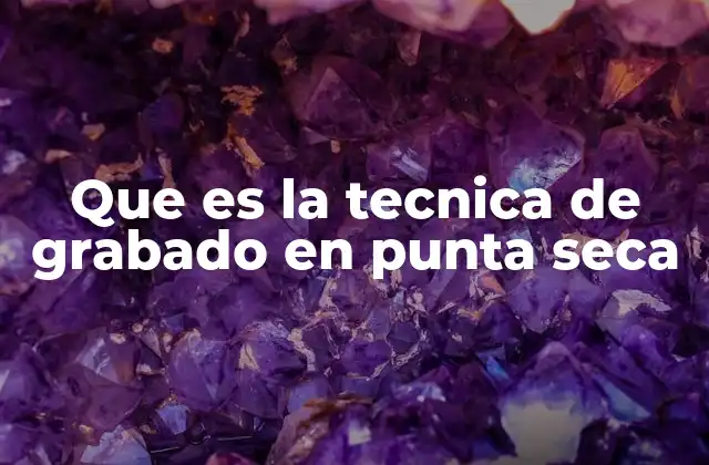 Que es la Tecnica de Grabado en Punta Seca
