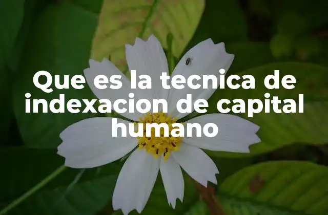 Que es la Tecnica de Indexacion de Capital Humano