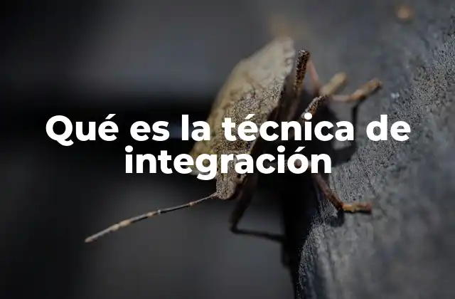 Qué es la Técnica de Integración