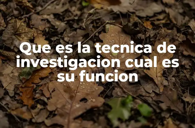 Que es la Tecnica de Investigacion Cual es Su Funcion