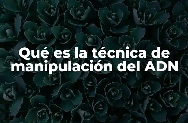 Qué es la Técnica de Manipulación Del Adn