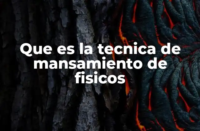 Que es la Tecnica de Mansamiento de Fisicos