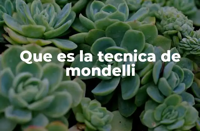 Que es la Tecnica de Mondelli