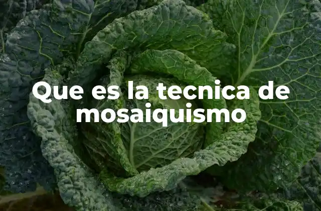 Que es la Tecnica de Mosaiquismo