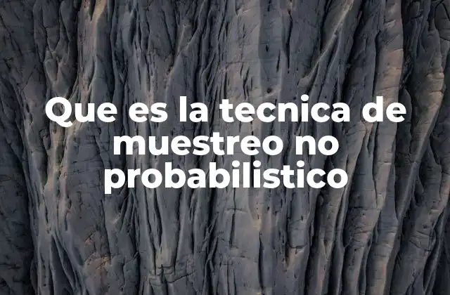 Que es la Tecnica de Muestreo No Probabilistico