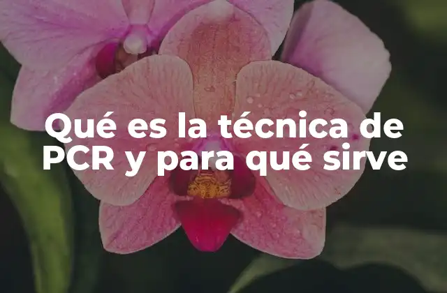 Qué es la Técnica de Pcr y para Qué Sirve