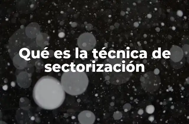 Qué es la Técnica de Sectorización