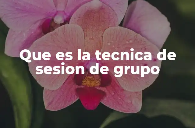 Que es la Tecnica de Sesion de Grupo