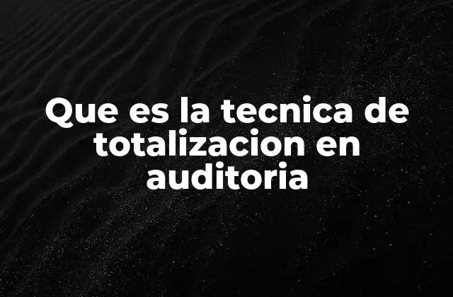 Que es la Tecnica de Totalizacion en Auditoria