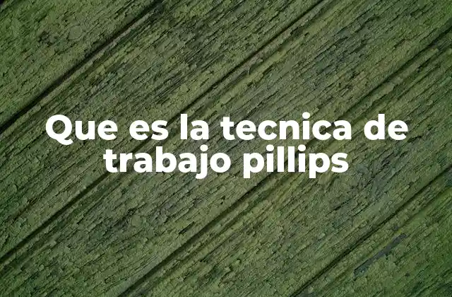 Que es la Tecnica de Trabajo Pillips