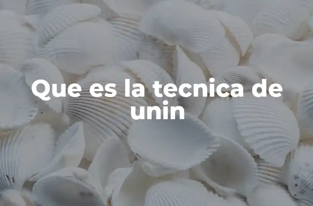 Que es la Tecnica de Unin