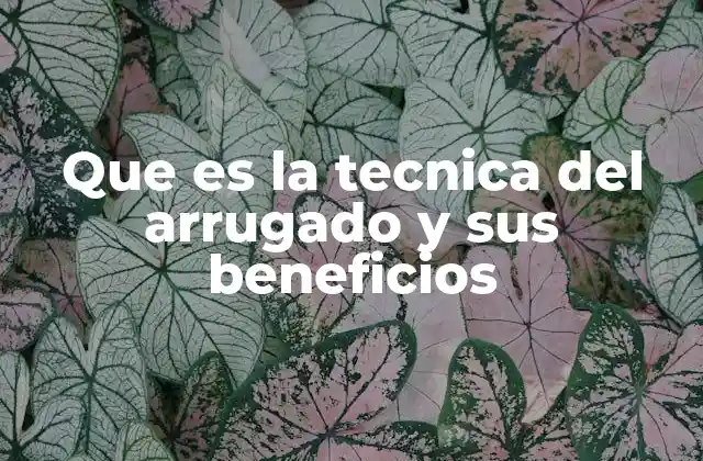 Que es la Tecnica Del Arrugado y Sus Beneficios