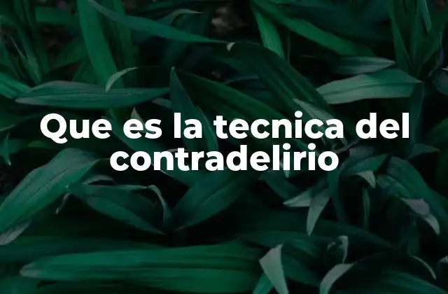 Que es la Tecnica Del Contradelirio