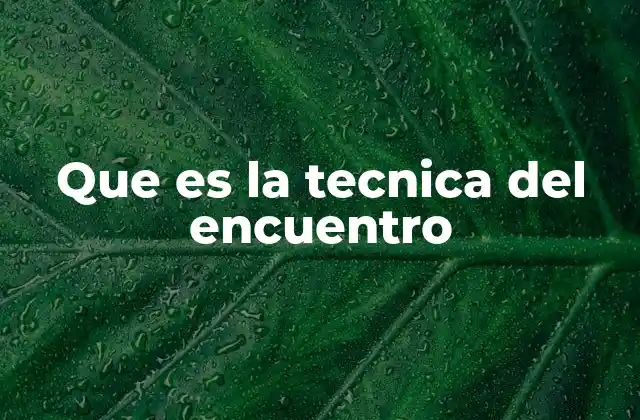 Que es la Tecnica Del Encuentro