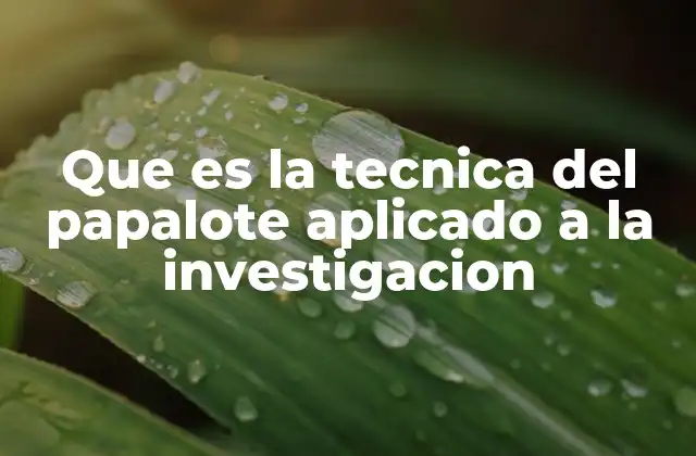 Que es la Tecnica Del Papalote Aplicado a la Investigacion