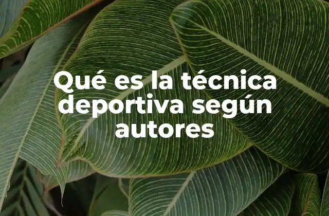Qué es la Técnica Deportiva según Autores