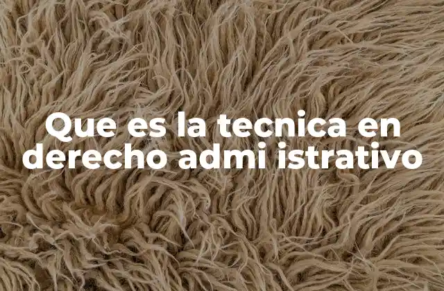 Que es la Tecnica en Derecho Admi Istrativo