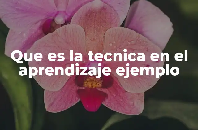 Que es la Tecnica en el Aprendizaje Ejemplo