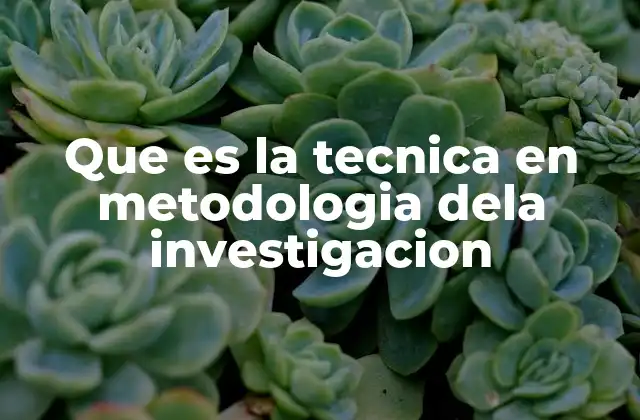 Que es la Tecnica en Metodologia Dela Investigacion