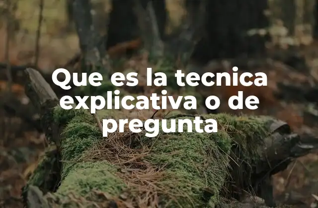 Que es la Tecnica Explicativa o de Pregunta